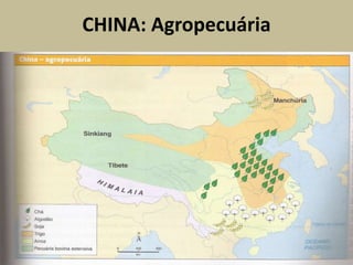 CHINA: Agropecuária
 