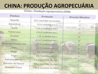CHINA: PRODUÇÃO AGROPECUÁRIA
 
