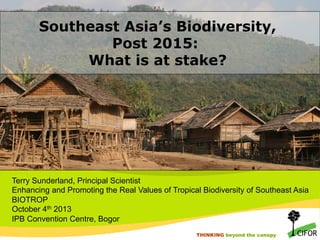 Southeast Asia’s Biodiversity,
Post 2015:
What is at stake?

Terry Sunderland, Principal Scientist
Enhancing and Promoting the Real Values of Tropical Biodiversity of Southeast Asia
BIOTROP
October 4th 2013
IPB Convention Centre, Bogor
THINKING beyond the canopy
THINKING beyond the canopy

 