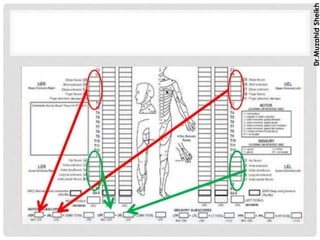 ASIA SCALE FOR SPINAL CORD INJURY ASSESSMENT | PDF