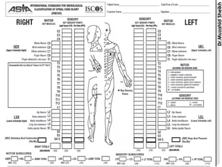 ASIA SCALE FOR SPINAL CORD INJURY ASSESSMENT | PDF