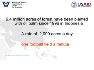 9.4 million acres of forest have been planted with oil palm since 1996 in Indonesia A rate of  2,000 acres a day one football field a minute     http://e360.yale.edu/content/feature.msp?id=2112   