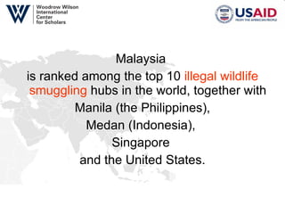 Malaysia  is ranked among the top 10  illegal wildlife   smuggling  hubs in the world, together with Manila (the Philippines),  Medan (Indonesia),  Singapore  and the United States. 