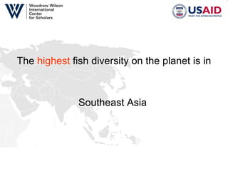 The  highest  fish diversity on the planet is in Southeast Asia  