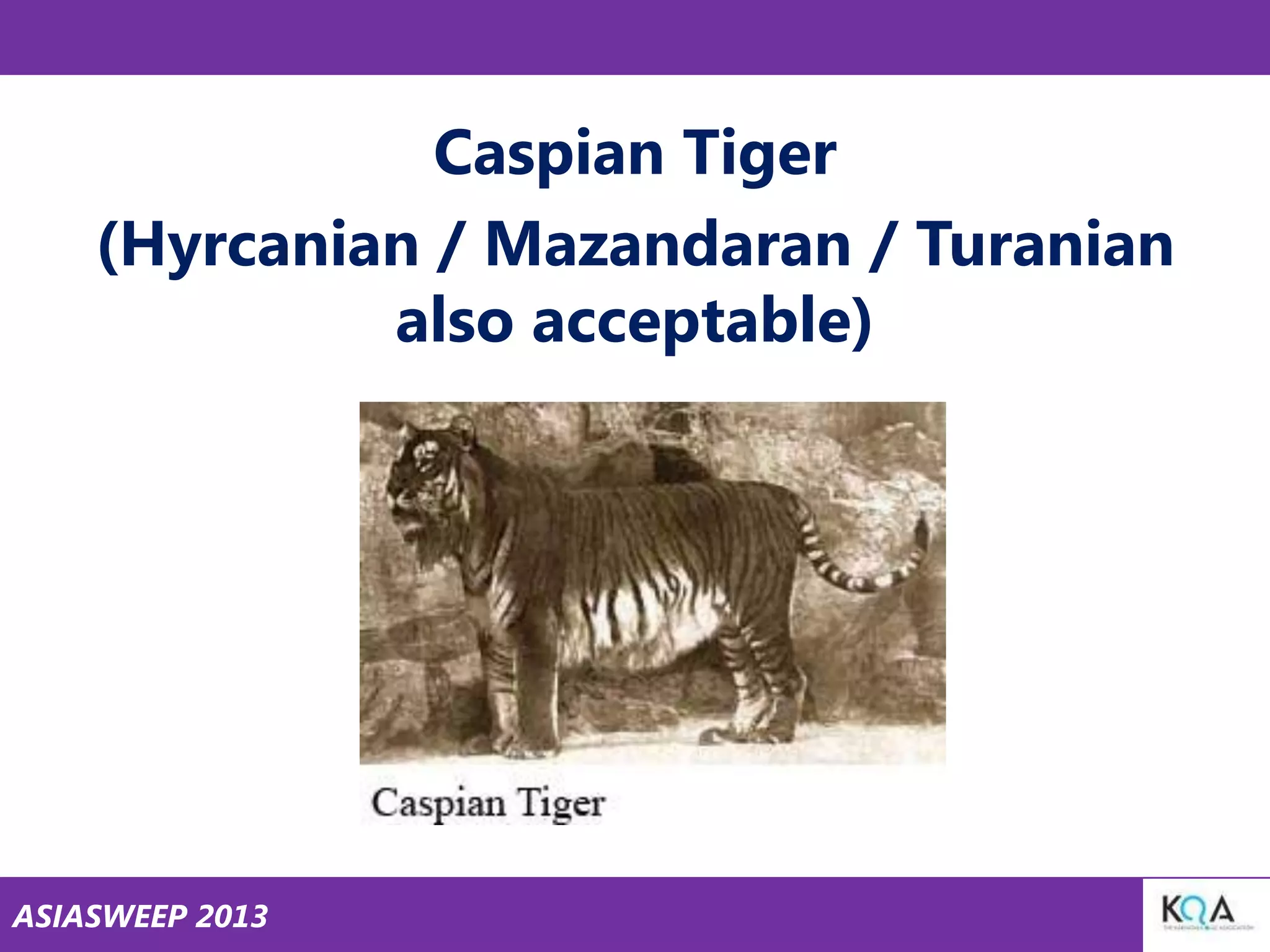 Caspian Tiger
(Hyrcanian / Mazandaran / Turanian
also acceptable)

ASIASWEEP 2013

 