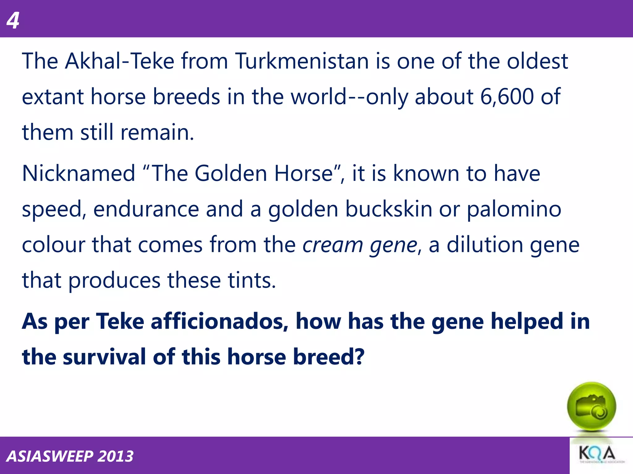 4
The Akhal-Teke from Turkmenistan is one of the oldest
extant horse breeds in the world--only about 6,600 of

them still remain.
Nicknamed ―The Golden Horse‖, it is known to have
speed, endurance and a golden buckskin or palomino

colour that comes from the cream gene, a dilution gene
that produces these tints.
As per Teke afficionados, how has the gene helped in
the survival of this horse breed?

ASIASWEEP 2013

 