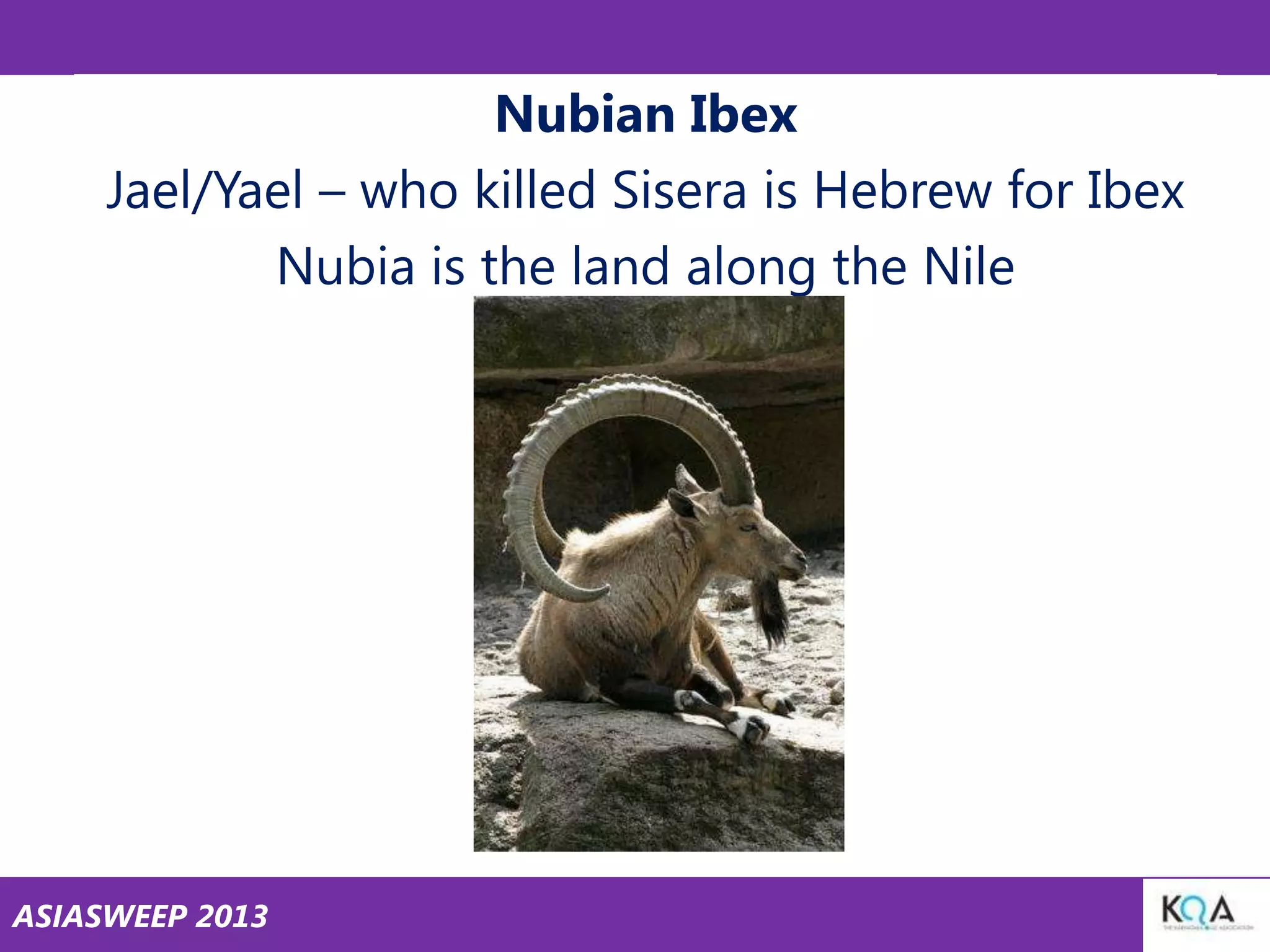 Nubian Ibex
Jael/Yael – who killed Sisera is Hebrew for Ibex
Nubia is the land along the Nile

ASIASWEEP 2013

 