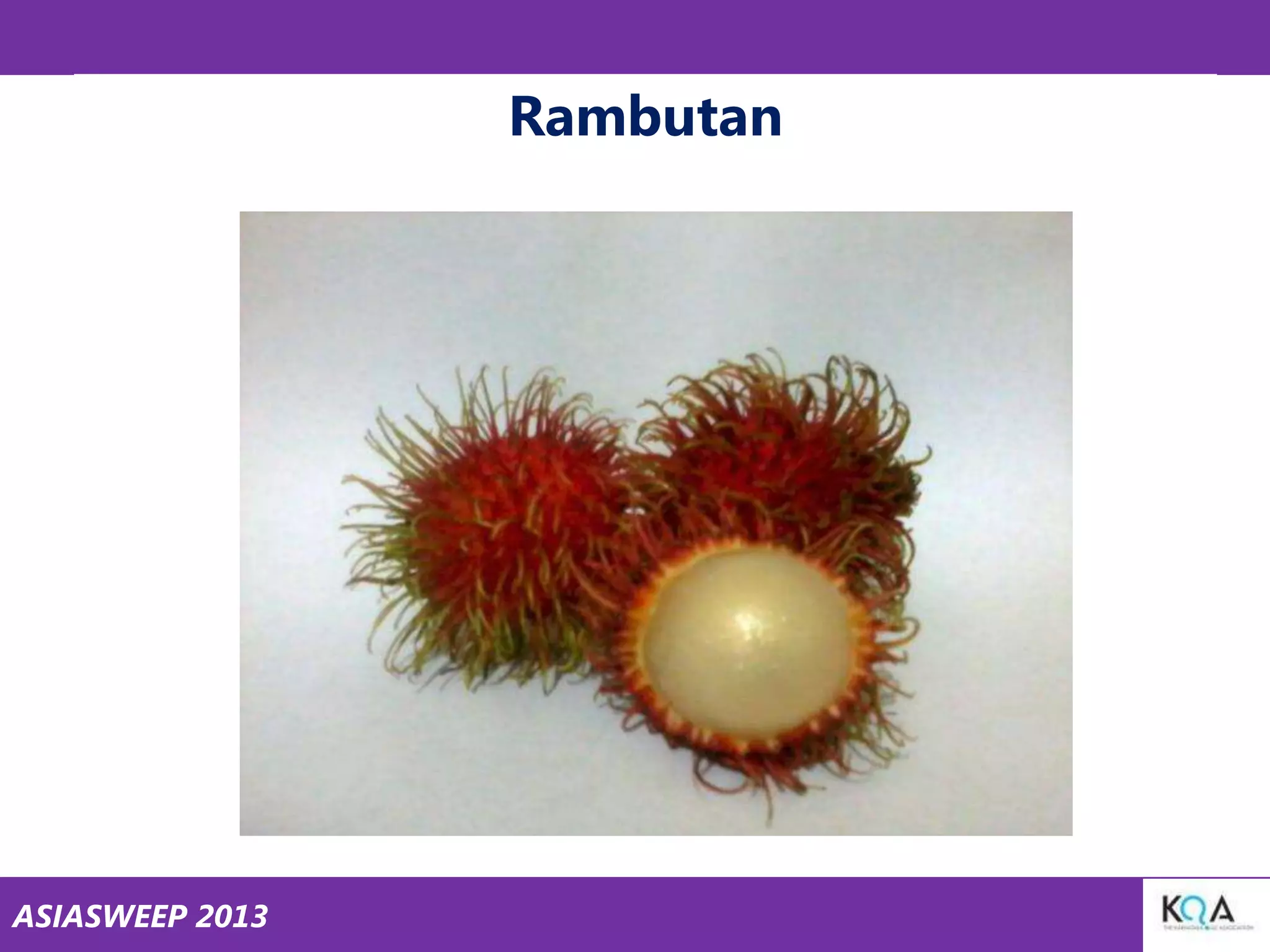 Rambutan

ASIASWEEP 2013

 