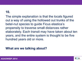 ASIASWEEP 2014
10.
The simple explanation is that the locals figured
out a way of using the hollowed out trunks of the
betel-nut species to guide Ficus elastica’s
propensity to traverse small distances rather
elaborately. Each transit may have taken about ten
years, and the entire system is thought to be five
hundred years old or more.
What are we talking about?
 