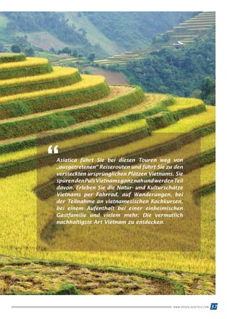 37WWW.REISEN.ASIATICA.COM
Asiatica führt Sie bei diesen Touren weg von
„ausgetretenen“ Reiserouten und führt Sie zu den
versteckten ursprünglichen Plätzen Vietnams. Sie
spürendenPulsVietnamsganznahundwerdenTeil
davon. Erleben Sie die Natur- und Kulturschätze
Vietnams per Fahrrad, auf Wanderungen, bei
der Teilnahme an vietnamesischen Kochkursen,
bei einem Aufenthalt bei einer einheimischen
Gastfamilie und vielem mehr. Die vermutlich
nachhaltigste Art Vietnam zu entdecken.
“
 
