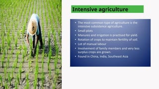 Intensive agriculture
 