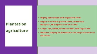 Plantation
agriculture
• Highly specialised and organized form.
• Began in colonial period,India, Indonesia,
Malaysia ,Philippines and Sri Lanka.
• Crops- Tea,coffee,banana,rubber and sugarcane.
• Workers staying in plantation and crops are sent to
factories.
 