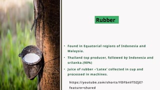 https://youtube.com/shorts/YDFbnVT5ZJE?
feature=shared
• Found in Equatorial regions of Indonesia and
Malaysia.
• Thailand top producer, followed by Indonesia and
srilanka.(90%)
• Juice of rubber –’Latex’ collected in cup and
processed in machines.
Rubber
 