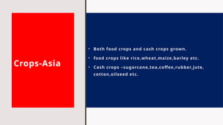 Crops-Asia
• Both food crops and cash crops grown.
• food crops like rice,wheat,maize,barley etc.
• Cash crops –sugarcane,tea,coffee,rubber,jute,
cotton,oilseed etc.
 