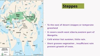 • To the east of desert steppes or temperate
grassland
• It covers south west siberia,eastern part of
Mangolia.
• Cold winter hot summer, little rain.
• Short grasses vegetation , insufficient rain
prevent growth of trees.
Steppes
 