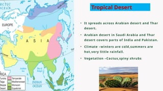 • It spreads across Arabian desert and Thar
desert.
• Arabian desert in Saudi Arabia and Thar
desert covers parts of India and Pakistan.
• Climate –winters are cold,summers are
hot,very little rainfall.
• Vegetation –Cactus,spiny shrubs
Tropical Desert
 