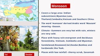 • Covers a large area- Indian
subcontinent,Myanmar,Laos,
Thailand,Combodia,Vietnam and Southern China.
• The word ‘mansoon’ derived Arabic word ‘Mausam’
meaning –Season.
• Climate –Summers are very hot with rain, winters
are very cold.
• Place with heavy rain-evergreen and deciduous
forest(India, Vietnam, Combodia and Myanmar.
• Sandalwood,Rosewood,Sal,Deodar,Bamboo and
hardwoods like Teak.
• Places with low rainfall –thorny scrub, Savannah
Sal Deodar
Monsoon
 