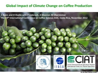 Global Impact of Climate Change on Coffee Production

C Bunn and O Ovalle with P Läderach, A Mosnier, M Obersteiner
The 24th International Conference on Coffee Science ASIC, Costa Rica, November 2012




                                                                            Pic by Neil Palmer (CIAT)
 