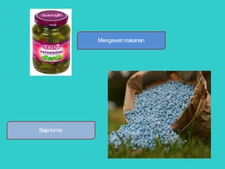 Bajakimia
Mengawet makanan
 