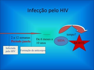 Infecção pelo HIV Infectada pelo HIV 2 a 12 semanas Período janela   Formação de anticorpos SIDA De 6 meses a 10 anos ......... tempo? MORTE 