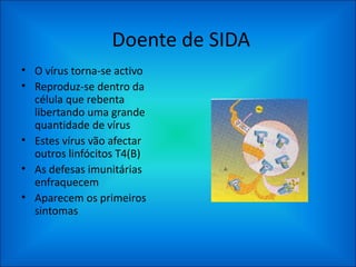 Doente de SIDA O vírus torna-se activo Reproduz-se dentro da célula que rebenta libertando uma grande quantidade de vírus Estes vírus vão afectar outros linfócitos T4(B) As defesas imunitárias enfraquecem Aparecem os primeiros sintomas 
