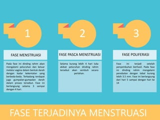 FASE TERJADINYA MENSTRUASI
FASE MENSTRUASI FASE PASCA MENSTRUASI FASE POLIFERASI
Pada fase ini dinding rahim akan
mengalami peluruhan dan keluar
melalui vagina dalam bentuk darah
dengan kadar kekentalan yang
berbeda-beda. Terkadang terdapat
juga gumpalan-gumpalan darah
dalam proses tersebut. Fase ini
berlangsung selama 3 sampai
dengan 4 hari.
Selama kurang lebih 4 hari luka
akibat peluruhan dinding rahim
tersebut akan sembuh secara
perlahan.
Fase ini terjadi setelah
penyembuhan berhasil. Pada fase
ini dinding rahim mengalami
penebalan dengan tebal kurang
lebih 3.5 mm. Fase ini berlangsung
dari hari 5 sampai dengan hari ke
14
1 2 3
 