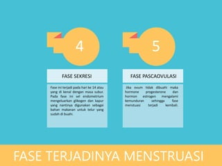 FASE SEKRESI FASE PASCAOVULASI
Fase ini terjadi pada hari ke 14 atau
yang di kenal dengan masa subur.
Pada fase ini sel endometrium
mengeluarkan glikogen dan kapur
yang nantinya digunakan sebagai
bahan makanan untuk telur yang
sudah di buahi.
Jika ovum tidak dibuahi maka
hormone progesterone dan
hormon estrogen mengalami
kemunduran sehingga fase
menstuasi terjadi kembali.
FASE TERJADINYA MENSTRUASI
4 5
 