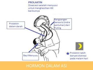 HORMON DALAM ASI
 
