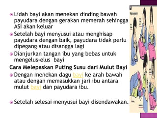 Lidahbayiakanmenekandindingbawahpayudaradengangerakanmemerahsehingga ASI akankeluarSetelahbayimenyusuiataumenghisappayudaradenganbaik, payudaratidakperludipegangataudisanggalagiDianjurkantanganibu yang bebasuntukmengelus-elus  bayiCara MelepaskanPutingSusudariMulutBayiDenganmenekandagubayikearahbawahataudenganmemasukkanjariibuantaramulutbayidanpayudaraibu.Setelahselesaimenyusuibayidisendawakan.