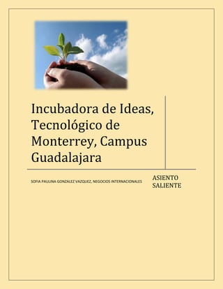 Incubadora de Ideas,
Tecnológico de
Monterrey, Campus
Guadalajara
                                                           ASIENTO
SOFIA PAULINA GONZALEZ VAZQUEZ, NEGOCIOS INTERNACIONALES
                                                           SALIENTE
 