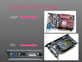  AGP
 PCI
 