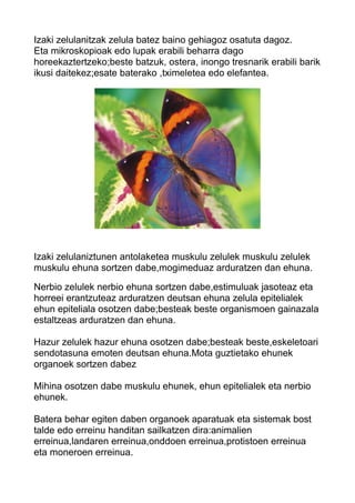 Izaki zelulanitzak zelula batez baino gehiagoz osatuta dagoz. 
Eta mikroskopioak edo lupak erabili beharra dago 
horeekaztertzeko;beste batzuk, ostera, inongo tresnarik erabili barik 
ikusi daitekez;esate baterako ,tximeletea edo elefantea. 
Izaki zelulaniztunen antolaketea muskulu zelulek muskulu zelulek 
muskulu ehuna sortzen dabe,mogimeduaz arduratzen dan ehuna. 
Nerbio zelulek nerbio ehuna sortzen dabe,estimuluak jasoteaz eta 
horreei erantzuteaz arduratzen deutsan ehuna zelula epitelialek 
ehun epiteliala osotzen dabe;besteak beste organismoen gainazala 
estaltzeas arduratzen dan ehuna. 
Hazur zelulek hazur ehuna osotzen dabe;besteak beste,eskeletoari 
sendotasuna emoten deutsan ehuna.Mota guztietako ehunek 
organoek sortzen dabez 
Mihina osotzen dabe muskulu ehunek, ehun epitelialek eta nerbio 
ehunek. 
Batera behar egiten daben organoek aparatuak eta sistemak bost 
talde edo erreinu handitan sailkatzen dira:animalien 
erreinua,landaren erreinua,onddoen erreinua,protistoen erreinua 
eta moneroen erreinua. 
 