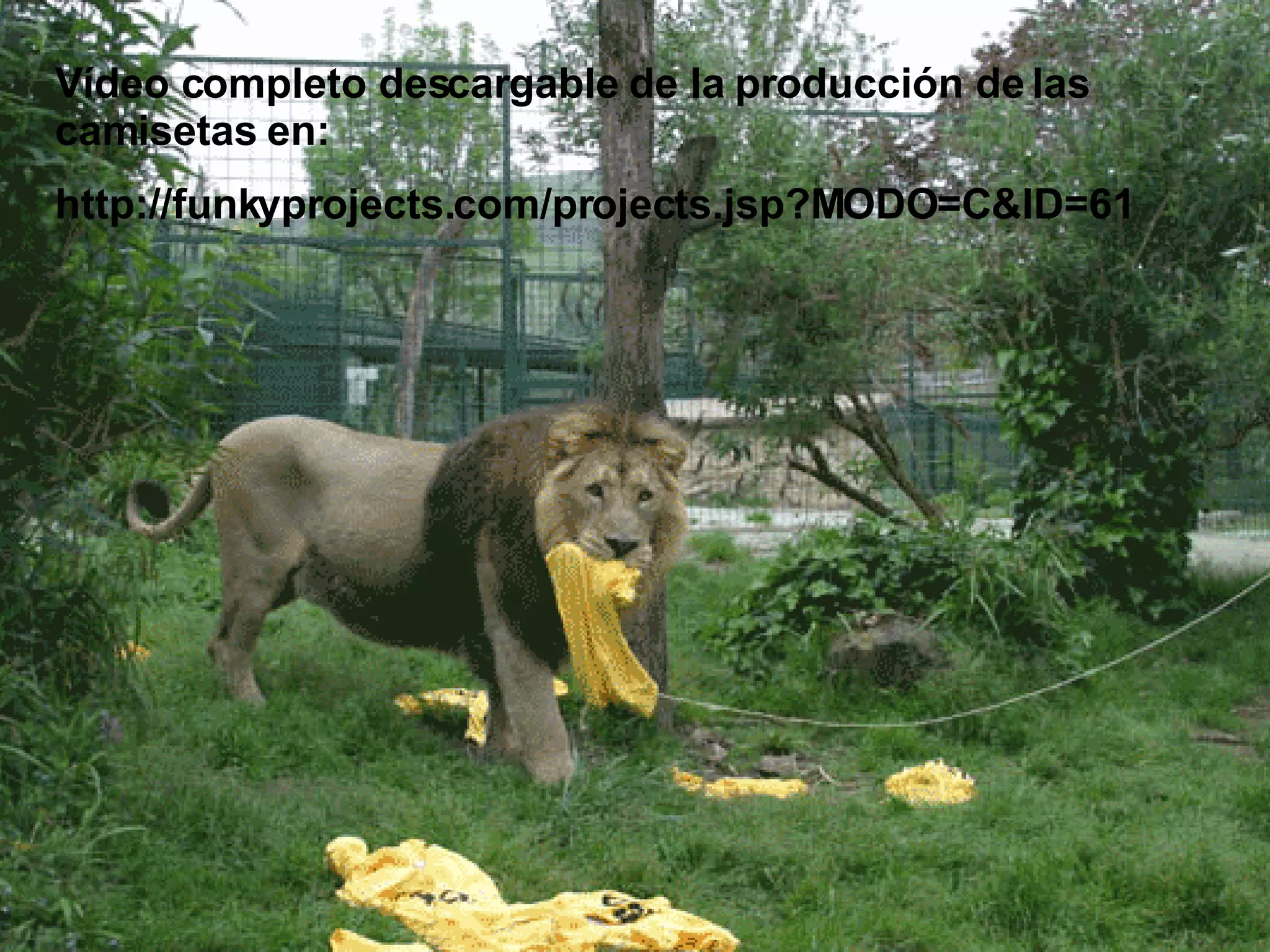 V ídeo completo descargable de la producción de las camisetas en: http://funkyprojects.com/projects.jsp?MODO=C&ID=61 