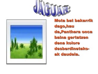 .
Mota bat bakarrikMota bat bakarrik
dago,haudago,hau
da,Panthera oncada,Panthera onca
baina gertatzenbaina gertatzen
dena koloredena kolore
desberdinetako-desberdinetako-
ak daudela.ak daudela.
 