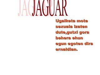 .
Ugalketa motaUgalketa mota
sexuala izatensexuala izaten
dute,gutxi goradute,gutxi gora
behera ehunbehera ehun
egun egoten diraegun egoten dira
ernaldian.ernaldian.
 