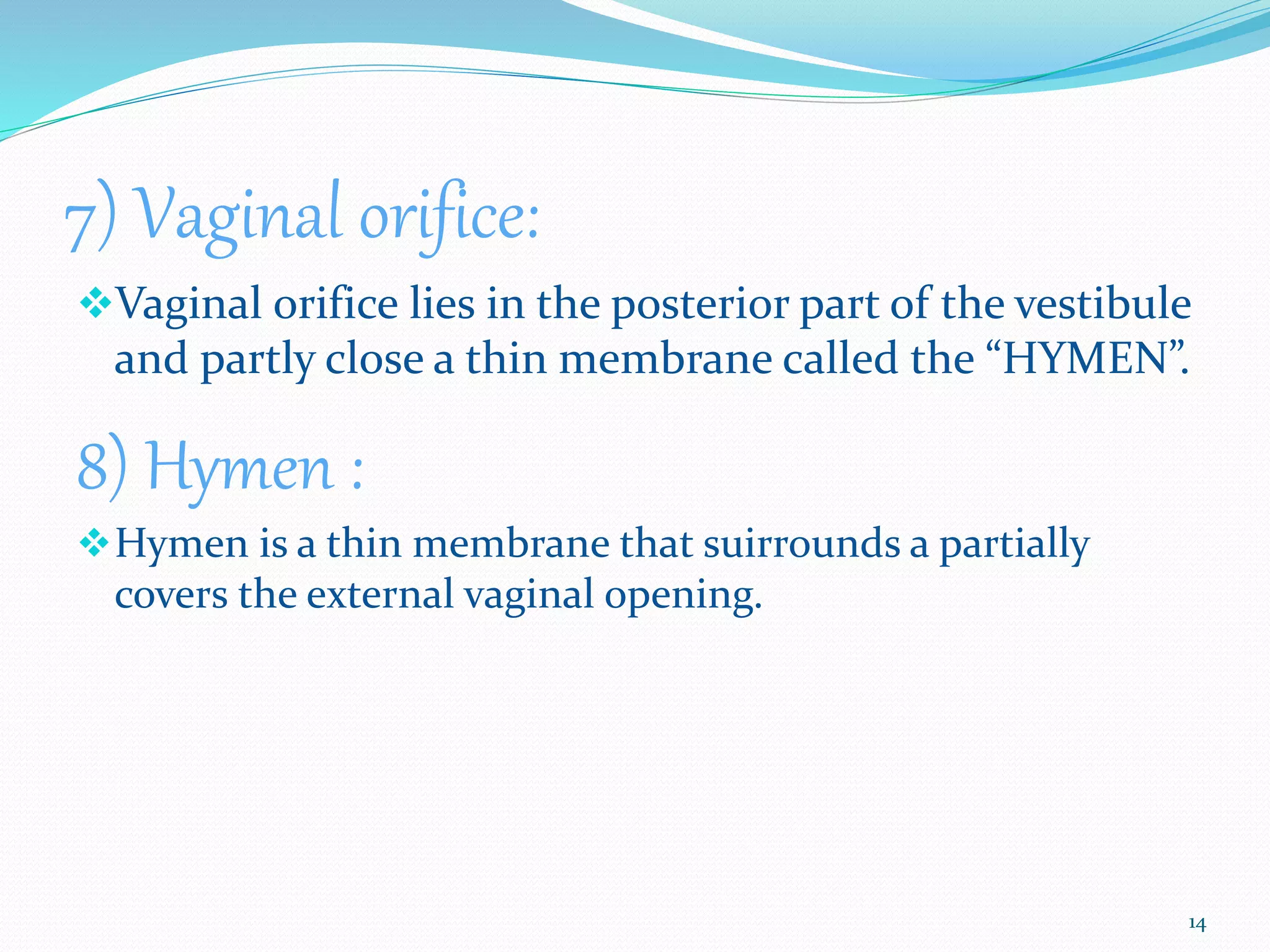 Female Reproductive System | PPTX