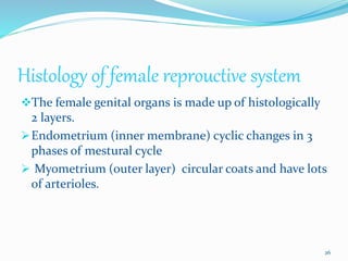 Histology of female reprouctive system
The female genital organs is made up of histologically
2 layers.
Endometrium (inner membrane) cyclic changes in 3
phases of mestural cycle
 Myometrium (outer layer) circular coats and have lots
of arterioles.
26
 