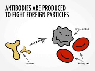 Asif lupuspresentation