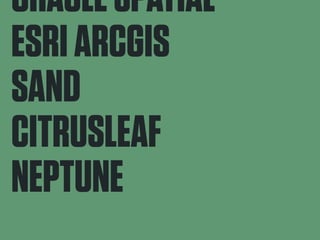 ORACLE SPATIAL 
ESRI ARCGIS 
SAND 
CITRUSLEAF 
NEPTUNE 
 