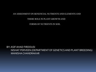 AN ASSIGNMENT ON BENEFICIAL NUTRIENTS AND ELEMENTS AND
THERE ROLE IN PLANT GROWTH AND
FORMS OF NUTRIENTS IN SOIL
BY: ASIF AHAD FIRDOUSI
NISHAT PERVEEN (DEPARTMENTOF GENETICSAND PLANT BREEDING)
MANISHA CHANDRAKAR
 