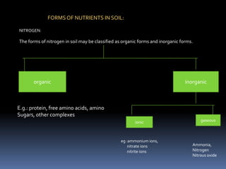 FORMS OF NUTRIENTS IN SOIL:
NITROGEN:
The forms of nitrogen in soil may be classified as organic forms and inorganic forms.
organic inorganic
E.g.: protein, free amino acids, amino
Sugars, other complexes
ionic gaseous
eg :ammonium ions,
nitrate ions
nitrite ions
Ammonia,
Nitrogen
Nitrous oxide
 