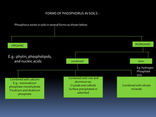 FORMS OF PHOSPHORUS IN SOILS :
Phosphorus exists in soils in several forms as shown below:
ORGANIC INORGANIC
E.g.: phytin, phospholipids,
and nucleic acids combined ionic
Eg: hydrogen
Phosphate
ions
Combined with calcium
E.g.: monocalcium
phosphate monohydrate
Tricalcium and dicalcium
phosphate
Combined with iron and
aluminum as:
Crystals and colloids
Surface precipitated or
adsorbed
Combined with silicate
minerals
 