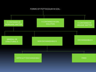 FORMS OF POTTASSIUM IN SOIL :
K CONTAINED IN
INORGANIC MATTER
K CONTAINED IN SOIL
SOLUTION
K CONTAINED IN
ORGANIC MATTER
MINERALOR
STRUCTURAL K. NON EXCHANGEABLE K
EXCHANGEABLE K
DIFFICULTY EXCHANGEABLE FIXED
 