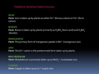 IRON
Form: Iron is taken up by plants as either Fe2+ (ferrous cation) or Fe3+ (ferric
cation).
BORON
Form: Boron is taken up by plants primarily as H3BO3 (boric acid) and H2BO3
-
(borate).
MANGANESE
Form:The primary form of manganese uptake is Mn2+ (manganous ion).
ZINC
Form:The Zn2+ cation is the predominate form taken up by plants
MOLYBDENUM
Form: Molybdenum is primarily taken up as MoO4
2- (molybdate ion).
COPPER
Form: Copper is taken up as Cu2+ (cupric ion).
FORMSOF MICRONUTRIENTS IN SOIL:
 