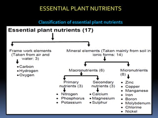 Classification of essential plant nutrients
ESSENTIAL PLANT NUTRIENTS
 