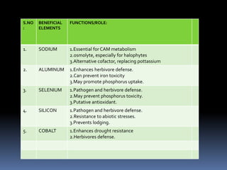 S.NO
:
BENEFICIAL
ELEMENTS
FUNCTIONS/ROLE:
1. SODIUM 1.Essential for CAM metabolism
2.osmolyte, especially for halophytes
3.Alternative cofactor, replacing pottassium
2. ALUMINUM 1.Enhances herbivore defense.
2.Can prevent iron toxicity
3.May promote phosphorus uptake.
3. SELENIUM 1.Pathogen and herbivore defense.
2.May prevent phosphorus toxicity.
3.Putative antioxidant.
4. SILICON 1.Pathogen and herbivore defense.
2.Resistance to abiotic stresses.
3.Prevents lodging.
5. COBALT 1.Enhances drought resistance
2.Herbivores defense.
 