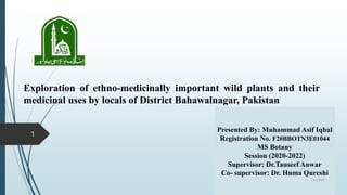 Exploration of ethno-medicinally important wild plants and their
medicinal uses by locals of District Bahawalnagar, Pakistan
1
Presented By: Muhammad Asif Iqbal
Registration No. F20BBOTN3E01044
MS Botany
Session (2020-2022)
Supervisor: Dr.Tauseef Anwar
Co- supervisor: Dr. Huma Qureshi
1/22/2023
 