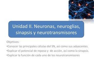Objetivos:
•Conocer las principales células del SN, así como sus adyacentes.
•Explicar el potencial de reposo y de acción, así como la sinapsis.
•Explicar la función de cada uno de los neurotransmisores
Unidad II. Neuronas, neuroglias,
sinapsis y neurotransmisores
 