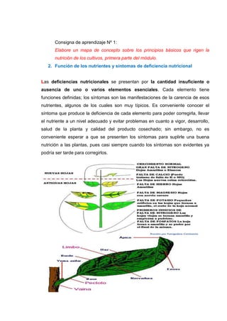 Asignación 2, adecuación de contenidos.