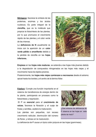 Asignación 2, adecuación de contenidos.